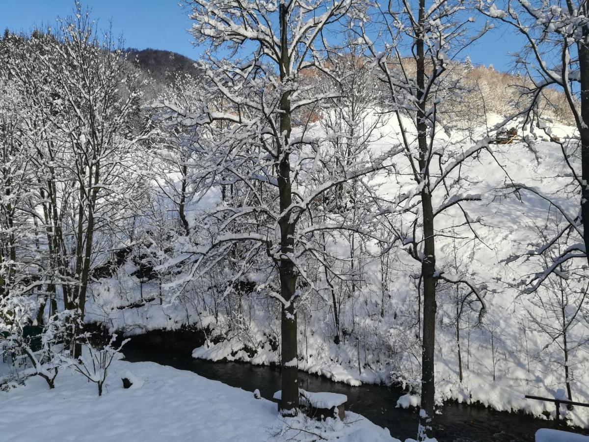 Wellness privát Štyri Lipy Villa Liptovske Revuce Exteriör bild